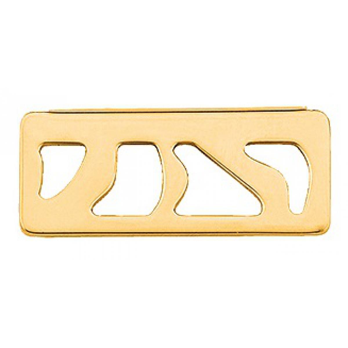 Pendentif  Perroquet Laiton Finition Or Rectangle 25 mm