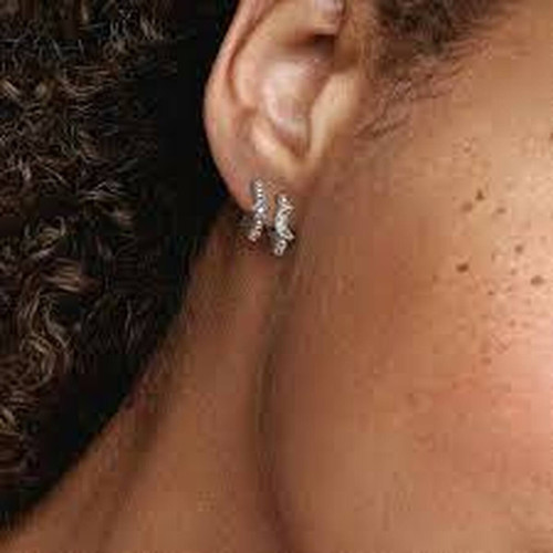 Boucles d'oreilles Pandora Argent 299152C01